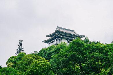 《空洞骑士》玩家数突然暴增 打破自身在线人数纪录